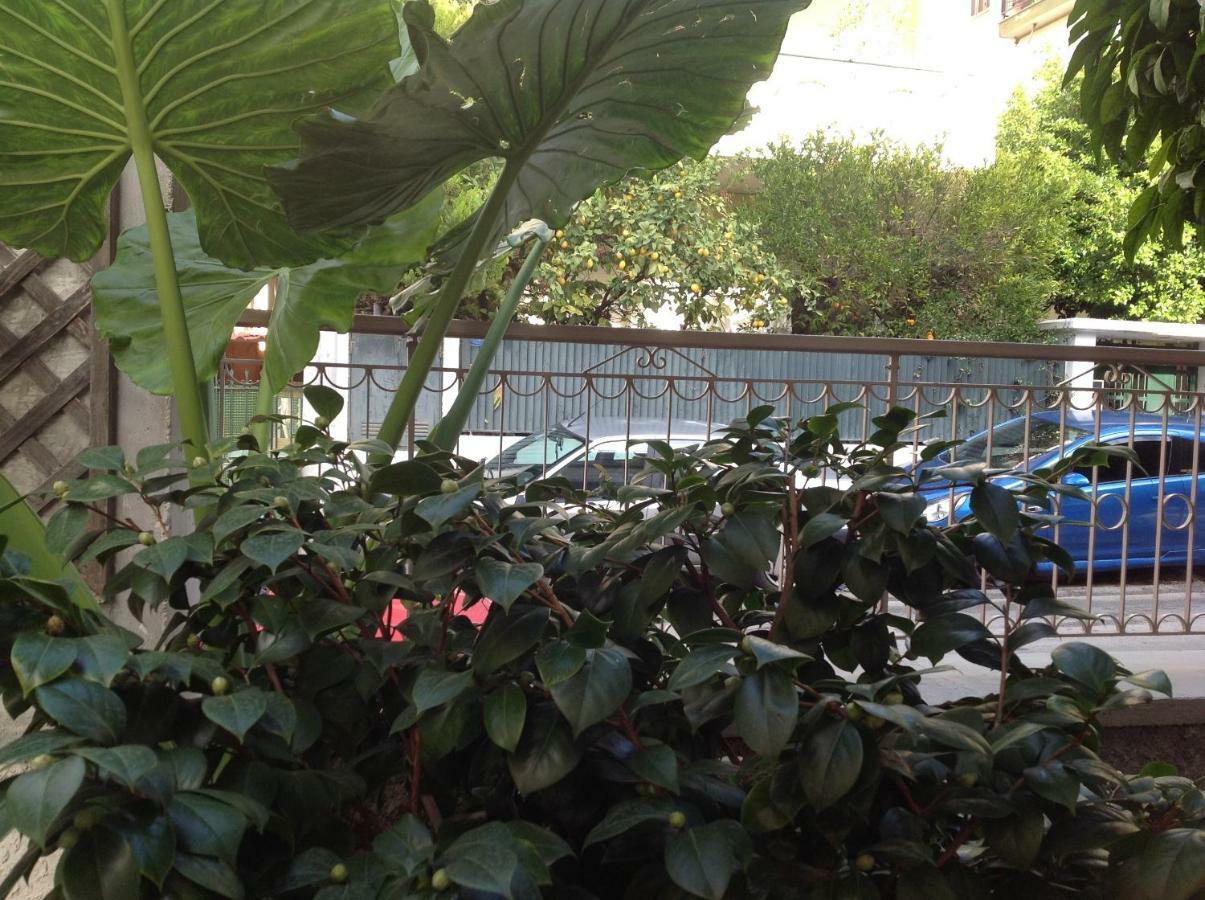 The 25Sqm Sunny, Modern And Comfortable Athen Eksteriør bilde